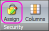 Security  Assign button